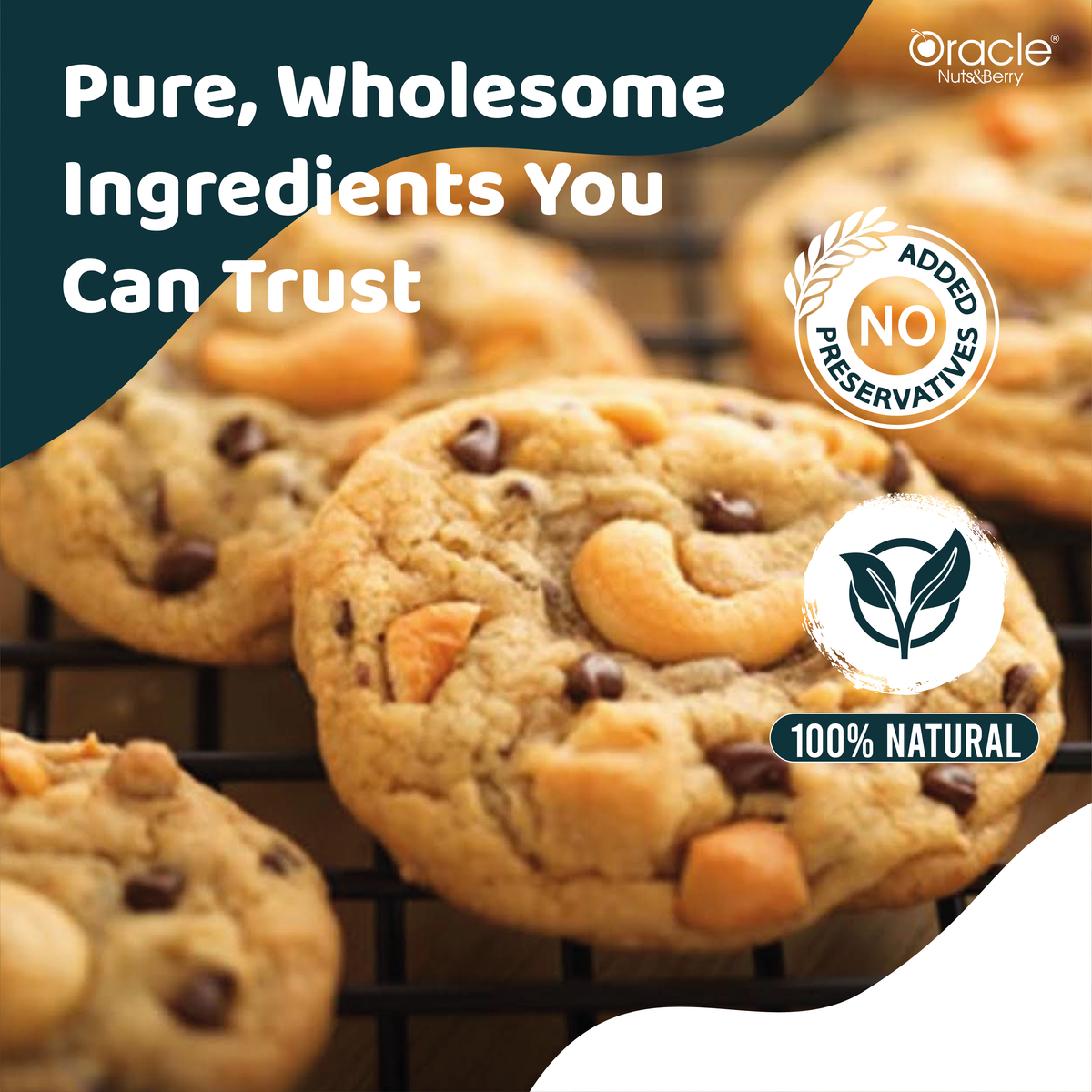 Oracle Nuts & Berry - 200gm Cashew Butter Cookies - Rich in Protein & Healthy Fats, 100% Pure & Hygienic, Soft & Crunchy Baked Treat