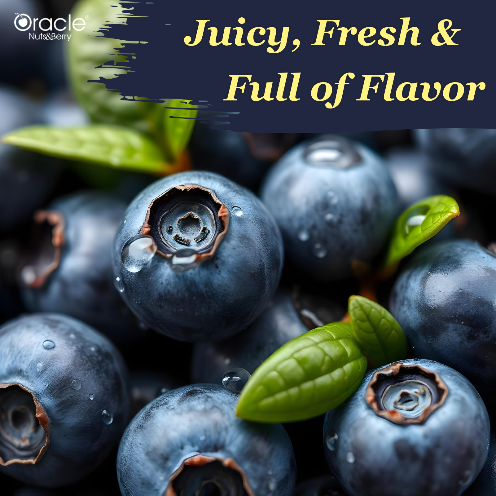 Dried & Whole Blueberry - Rich in Vitamin C & Dietary Fiber 200gm - Oracle Nut